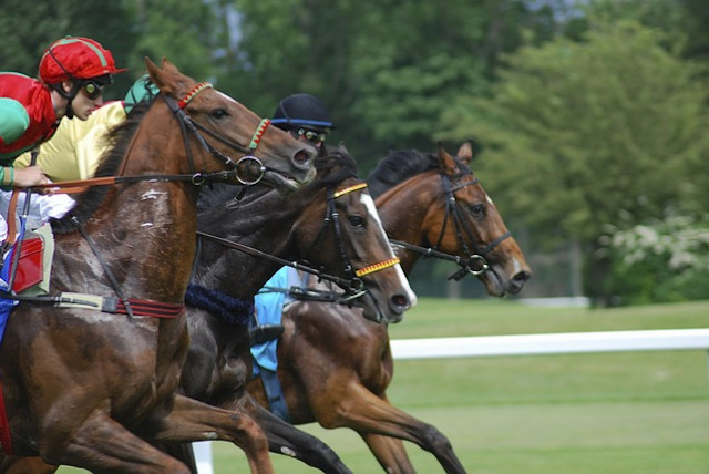 競馬のまくりがどういったものなのか紹介する画像