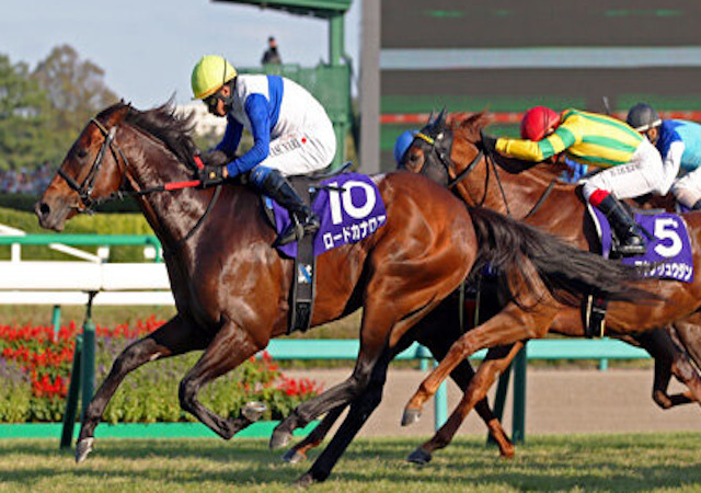 競馬100円で楽しむ　アイキャッチ