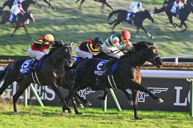 競馬ファンに人気な一口馬主を紹介する画像