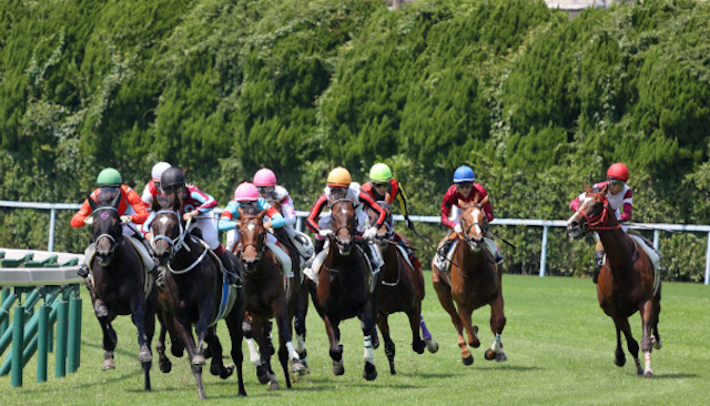 競馬で勝ち続ける人になるためのコツ 1