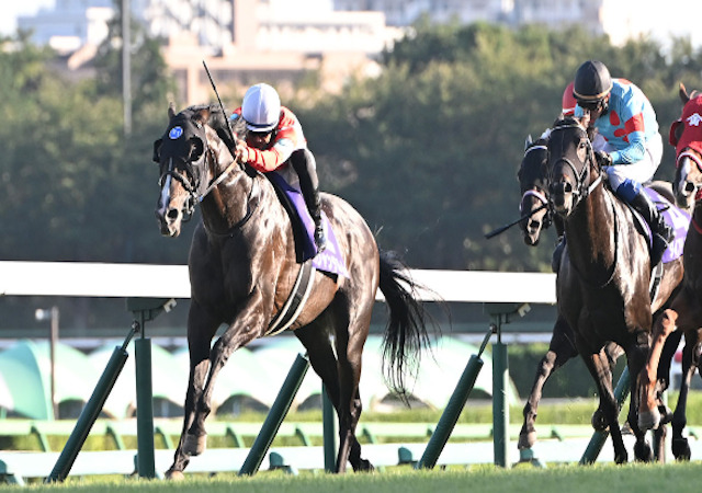 競馬年間収支プラスの人　アイキャッチ