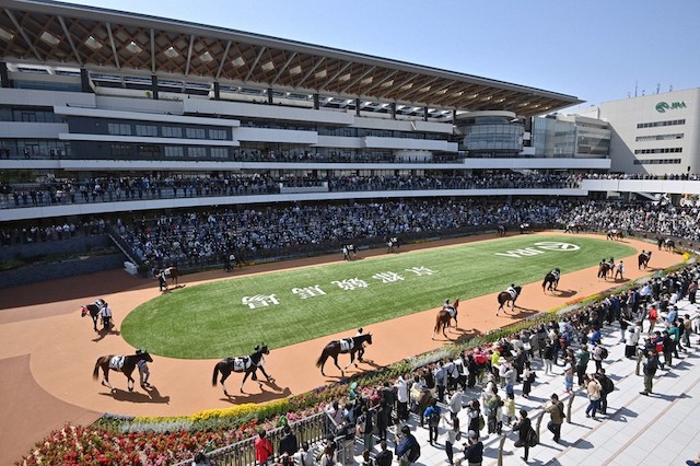 競馬予想で集めるデータは距離・コース適性があることを紹介する画像