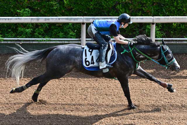 競馬予想の仕方において調教が大事であることを紹介する画像