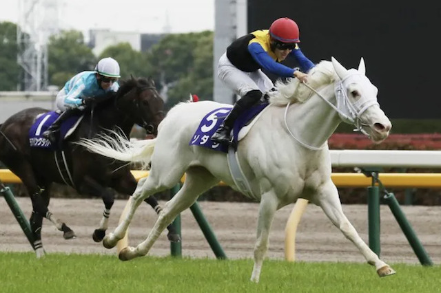 競馬予想の仕方が試しづらい3つレースを紹介する画像