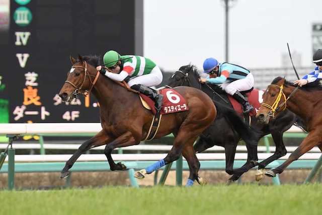 重賞レースは競馬初心者には難しいことを紹介する画像