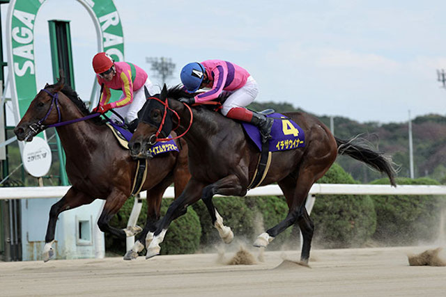 競馬初心者が競馬予想の仕方を試すのに良いレースを紹介する画像