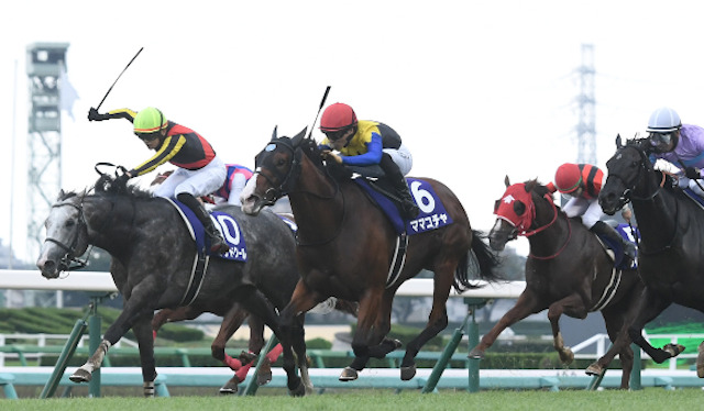 競馬で収支をあげている人のやり方 1