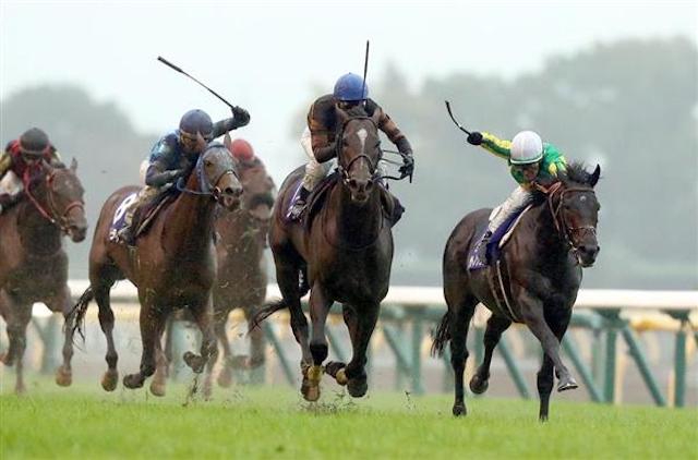 競馬は雨が降っても中止にはならないことを紹介する画像