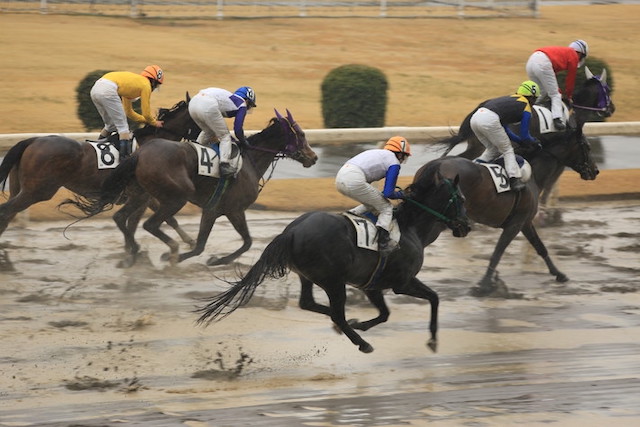 雨が降ると荒れると言われるのは馬場に影響を与えるからということを紹介する画像