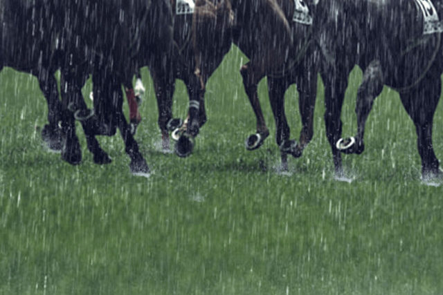 競馬で雨が降った時の4つの予想ポイントを紹介する画像