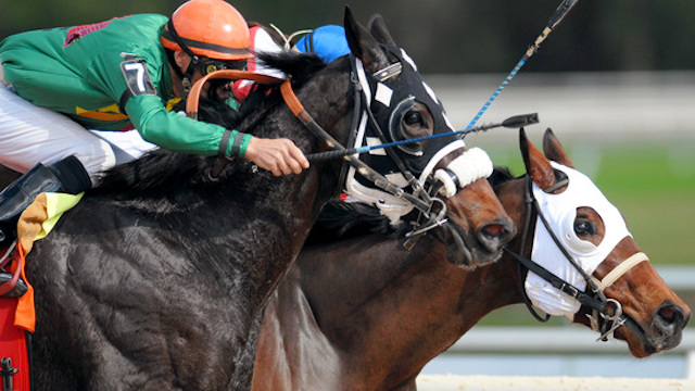 競馬の鞭とはなにかを紹介する画像