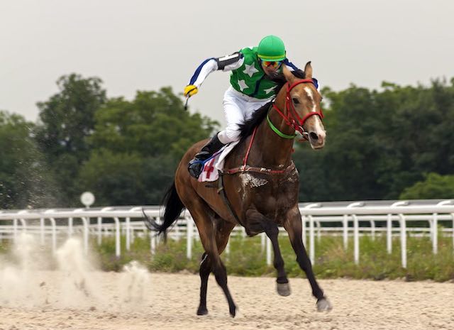 競馬の鞭は使用回数が決められていることを紹介する画像