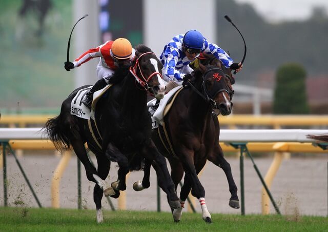 競馬の鞭についてご紹介！日本の使用回数と海外の差も解説！