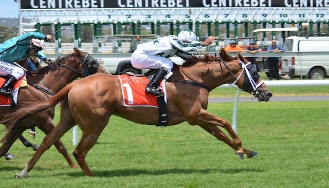 競馬の鞭の使用回数を超えた場合は制裁が課されることを紹介する画像