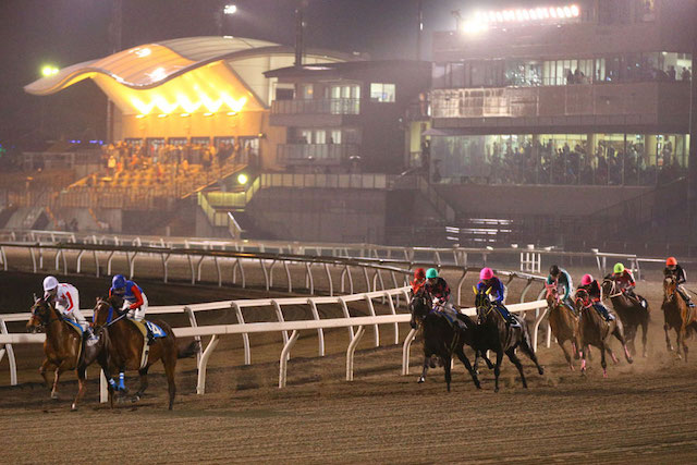 地方競馬だけの券種でも最高倍率が多く発生することを紹介する画像