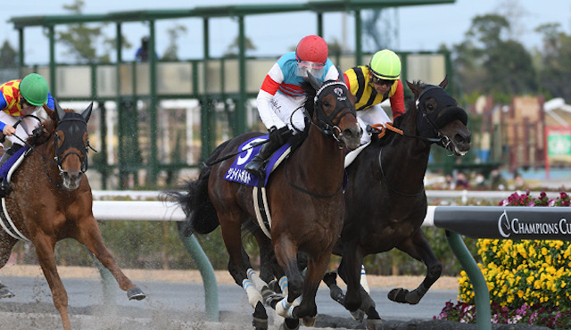 必ず当たる競馬予想　理由1