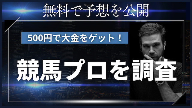 競馬　500円　プロ