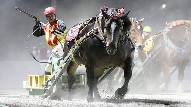 馬場のコンディションによって選出する馬を変える