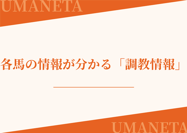 競馬スポーツ新聞の調教情報を紹介する画像