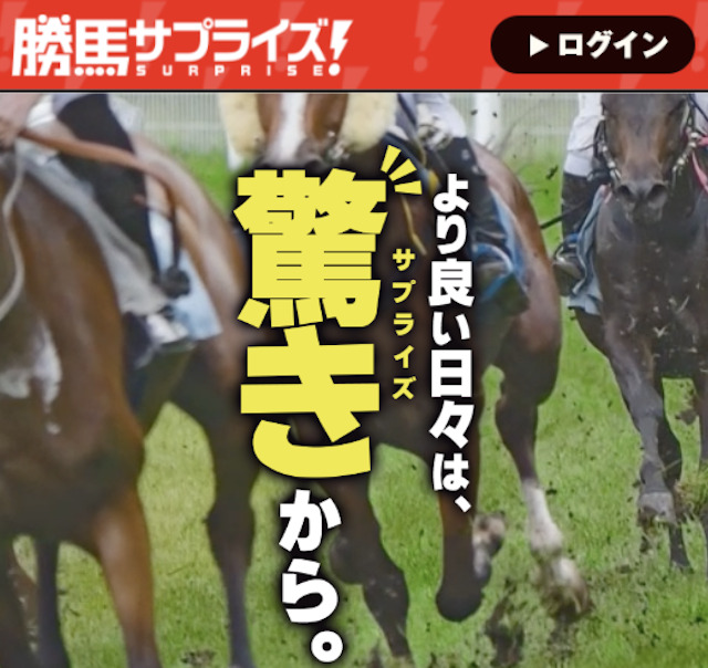 勝馬サプライズのトップ画像