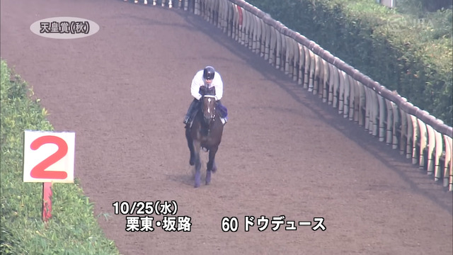 競馬の調教について紹介する画像