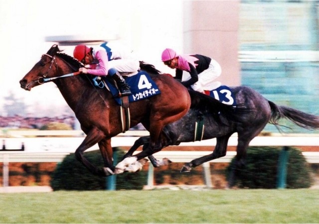 競走馬の復帰（トウカイテイオー）の画像