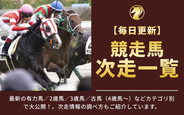 競走馬の次走一覧！有力馬の次走も大公開！のアイキャッチ