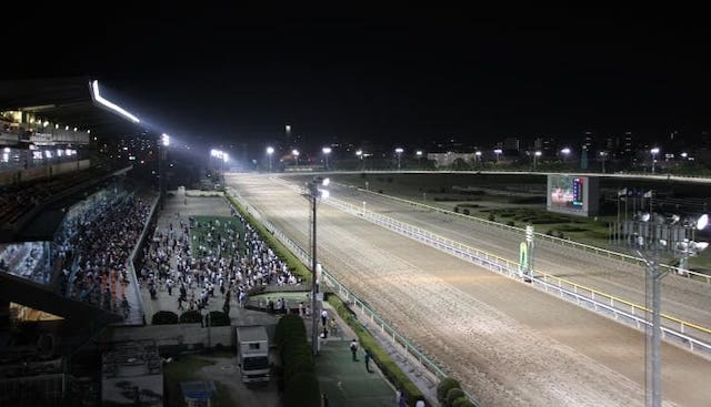 船橋競馬場でよく当たる競馬予想サイトを紹介する画像