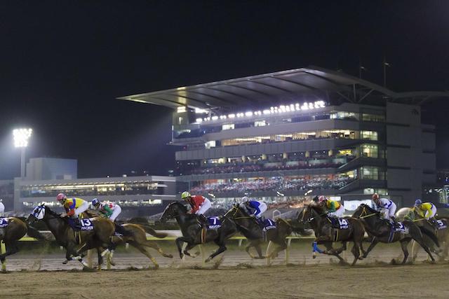 大井競馬場でよく当たる競馬予想サイトを紹介する画像