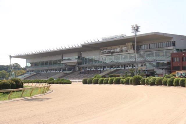 佐賀競馬場でよく当たる競馬予想サイトを紹介する画像