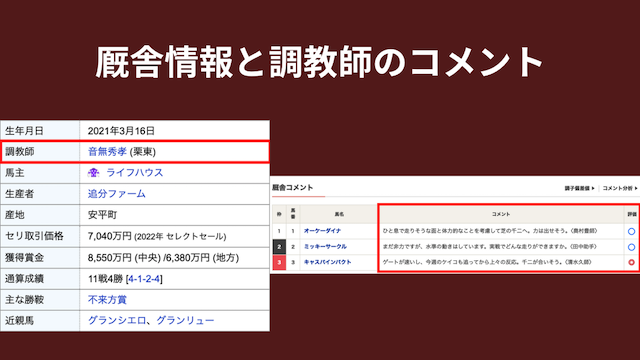 新馬戦の買い方や戦略では厩舎情報と調教師のコメントが大事であることを紹介する画像