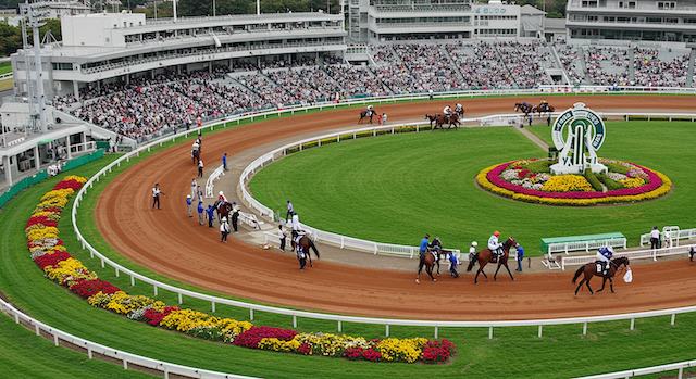 競馬が情報戦であることを紹介する画像