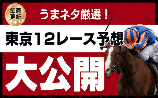 東京12レース予想を公開している記事のアイキャッチ画像
