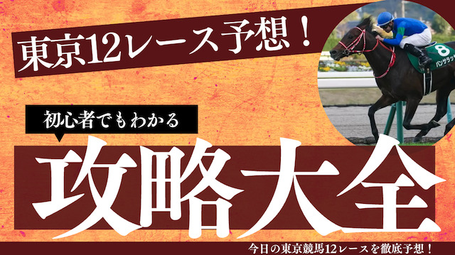 今日の東京12レース予想を紹介する画像