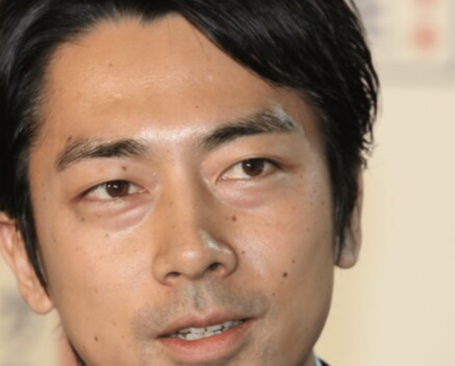小泉進次郎の画像