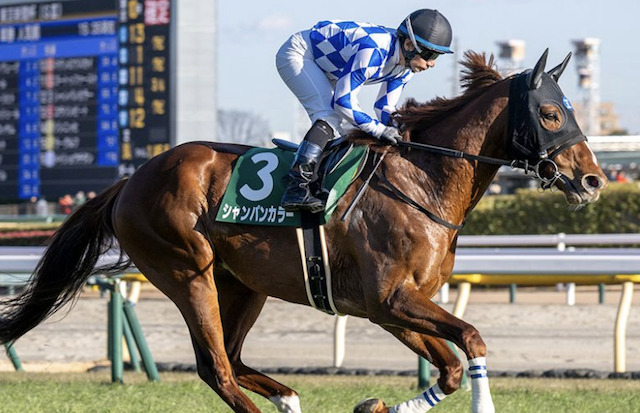 競馬の穴馬の画像