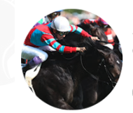 競馬データ検証チャンネルの予想は当たらない?口コミ・買い目を徹底検証!