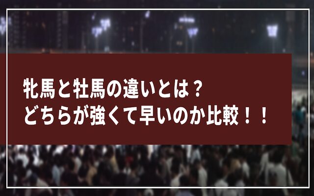 競馬の牝馬と牡馬の違いについて解説した記事のアイキャッチ画像