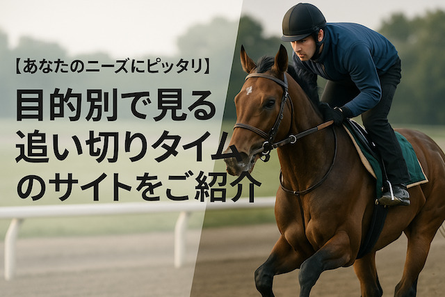 【あなたのニーズにピッタリ】目的別で見る追い切りタイムのサイトをご紹介の導入画像