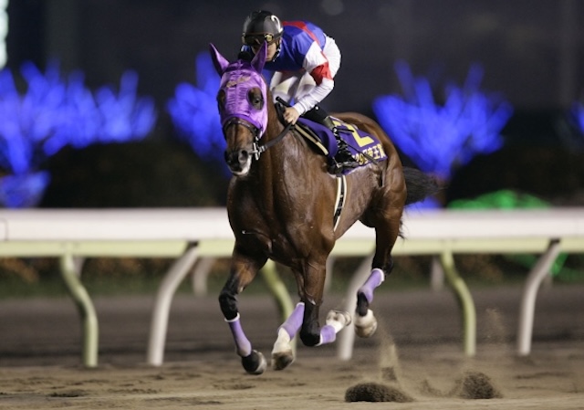 世界に挑んだ地方最強馬