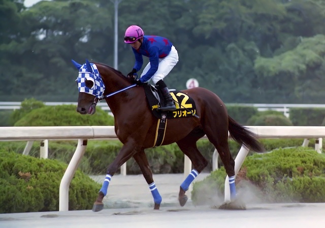 史上最高賞金を稼いだ地方最強馬