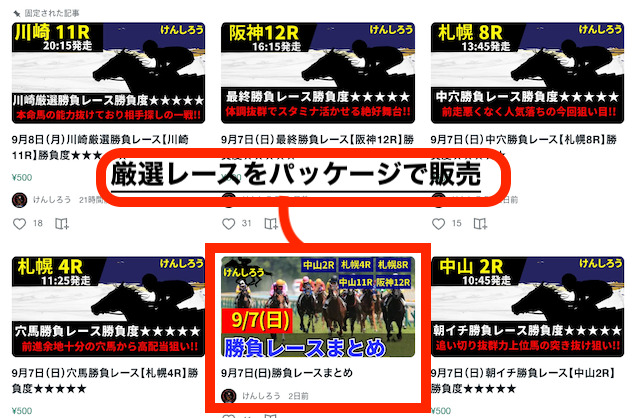 けんしろうのレース販売画像