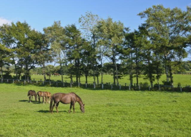 日高地方の画像