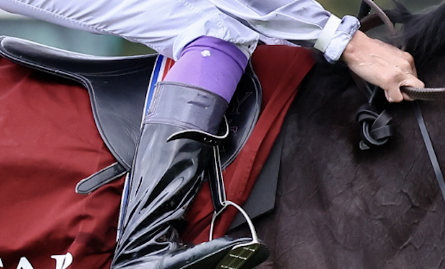 武豊の鐙の画像