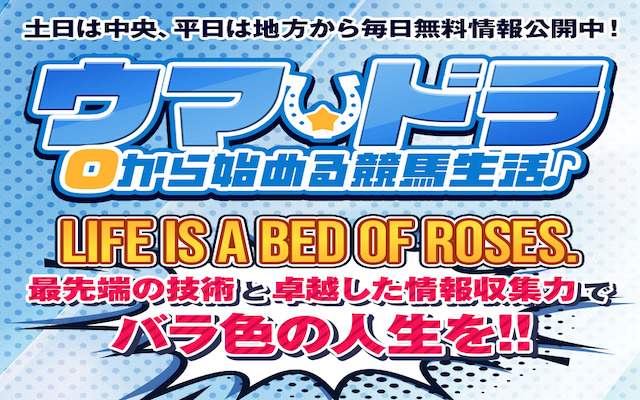 ウマドラに関する記事のアイキャッチ画像