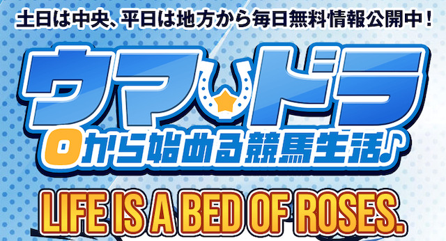 ウマドラの概要画像