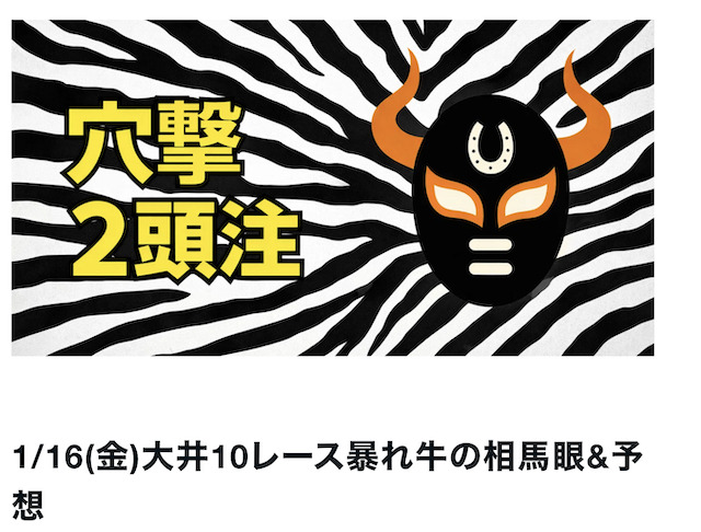 レースの予想画像