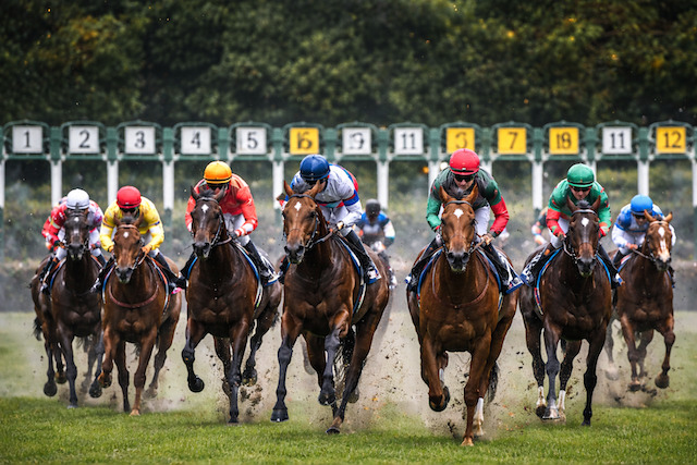 複勝転がし　少頭数レース