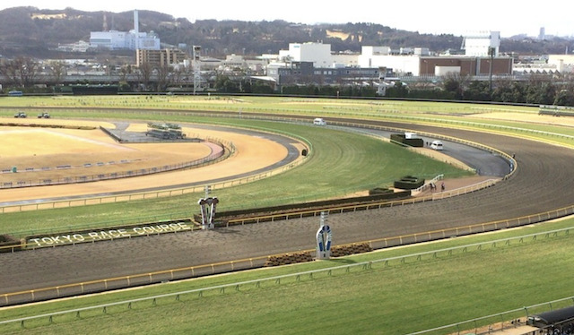 競馬予想におけるファクターのコース適性