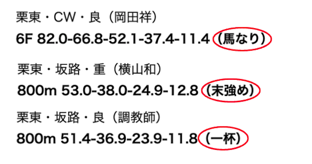 追い切りタイム　馬の状態を表すサイン